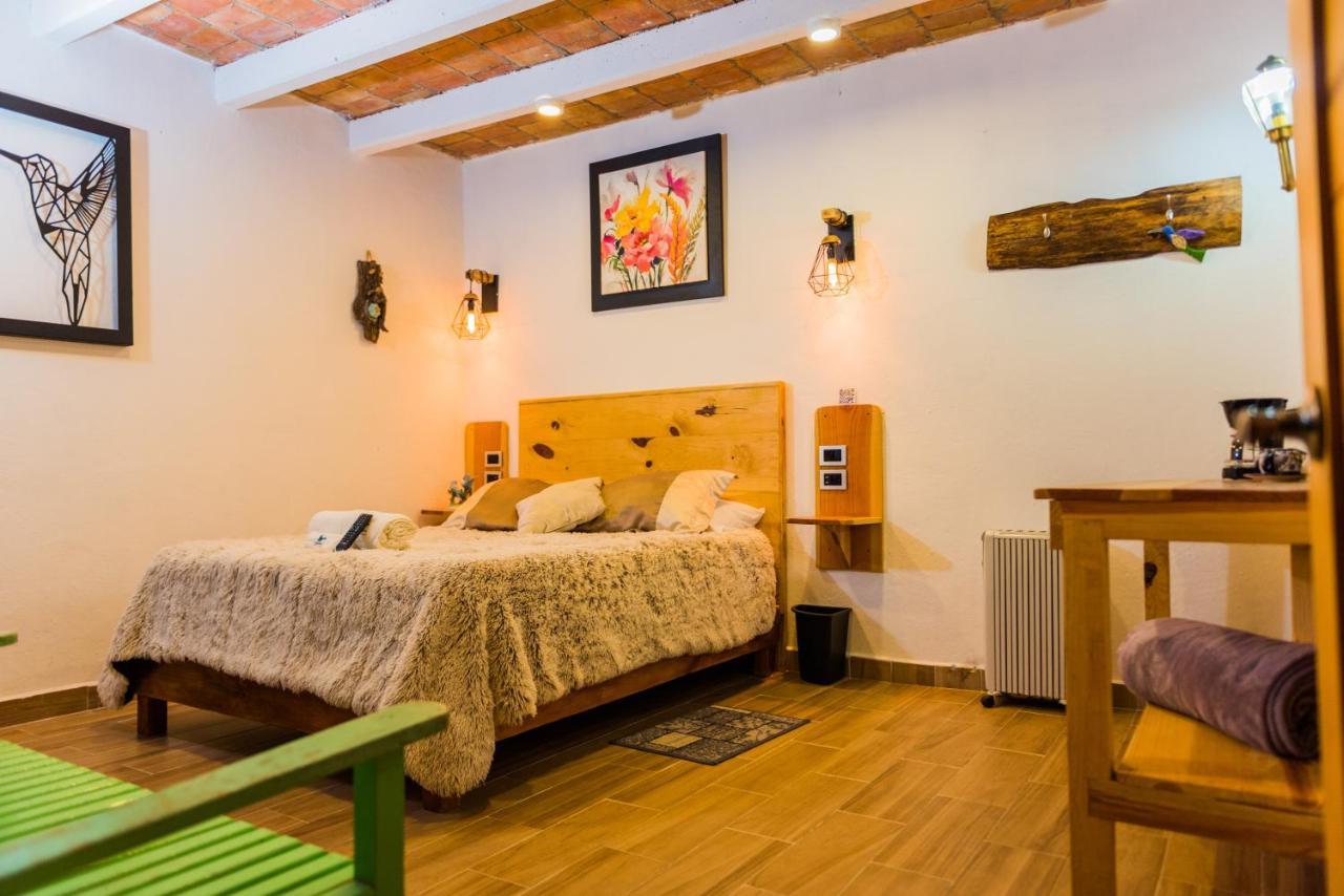Hotel Colibri Pozos  Exteriör bild